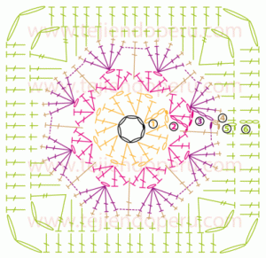 Gráfico de rosa africana